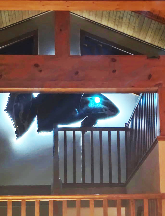 Gail and Dan’s Wall Mounted Fish